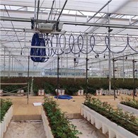 Тепличний іригаційний бум