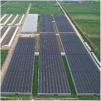 Commercial LED Grow Light