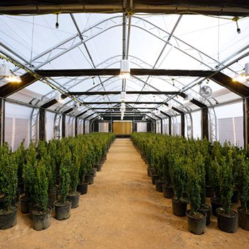 RO Water Treatment For Greenhouse